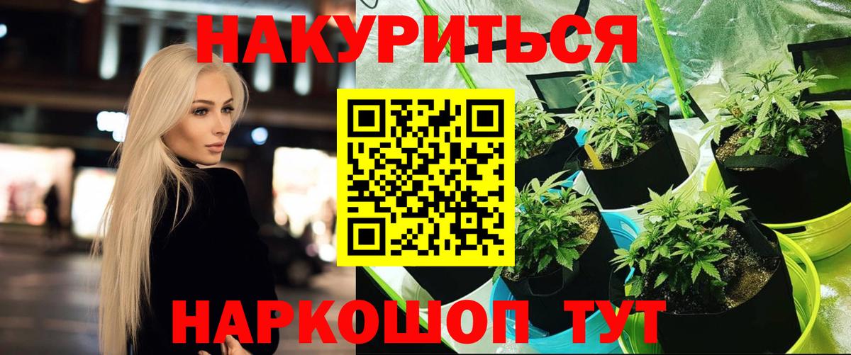 Канабис семена Назарово